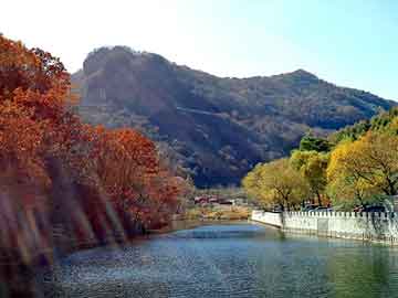 澳门二四六天天彩图库，根雕茶盘价格